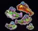 Symbol Fishes slot Big Bass Vegas Double Down Deluxe by Pragmatic Play